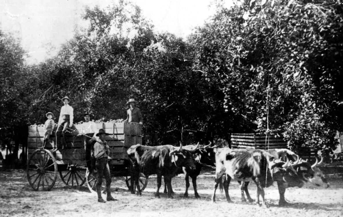 Filling In The Holes Of History Highlands News Sun