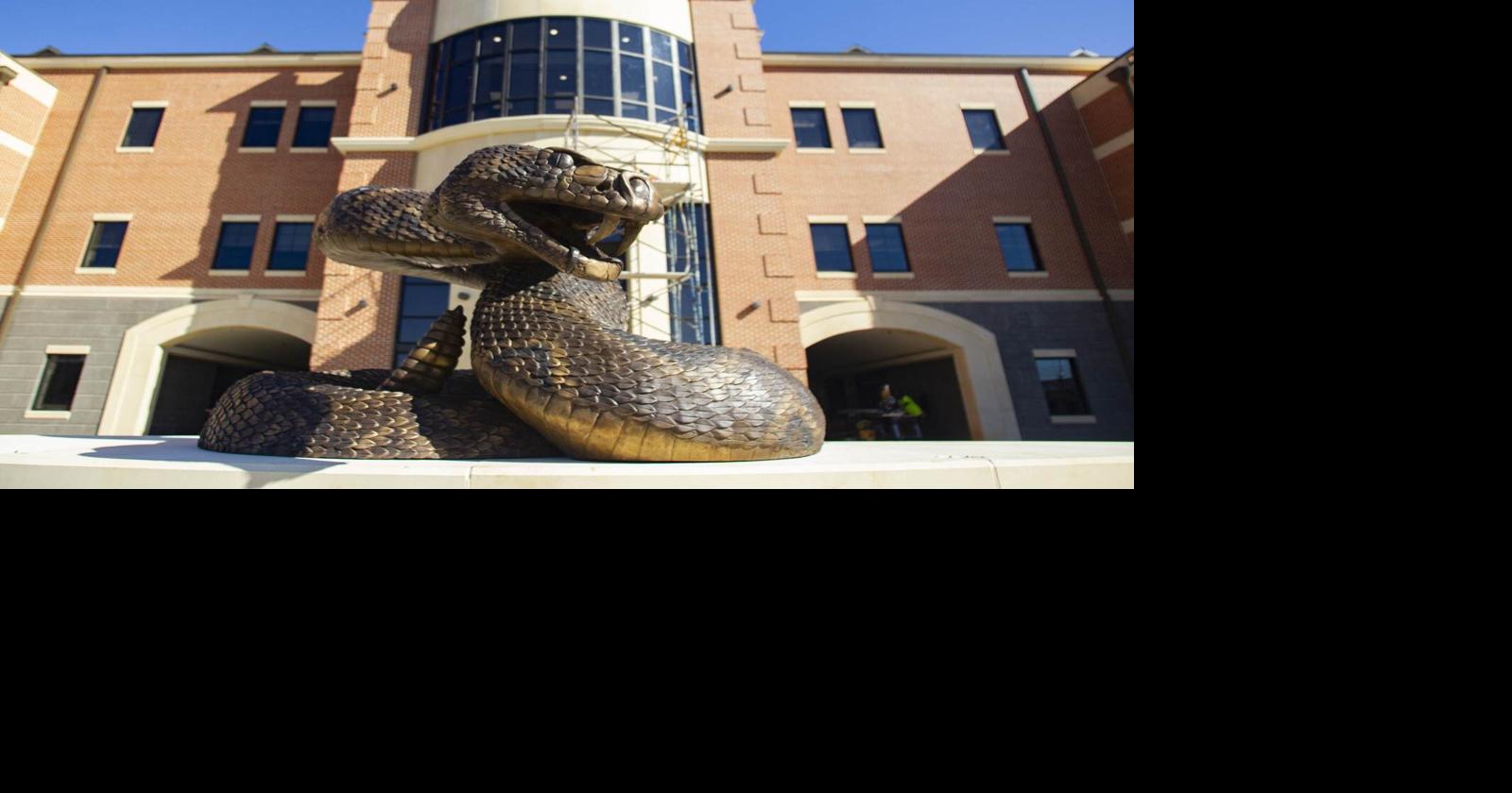 Artist brings authenticity to Rattler sculpture at FAMU | Highlands ...