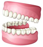 Considering dentures or implants?