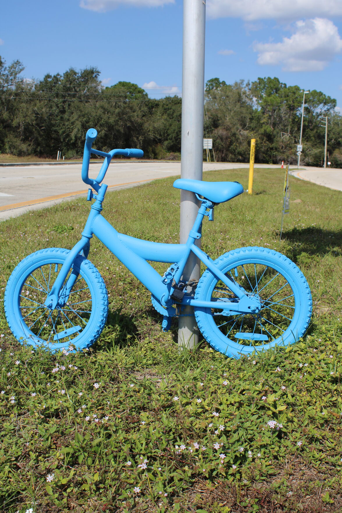 Blue bike online