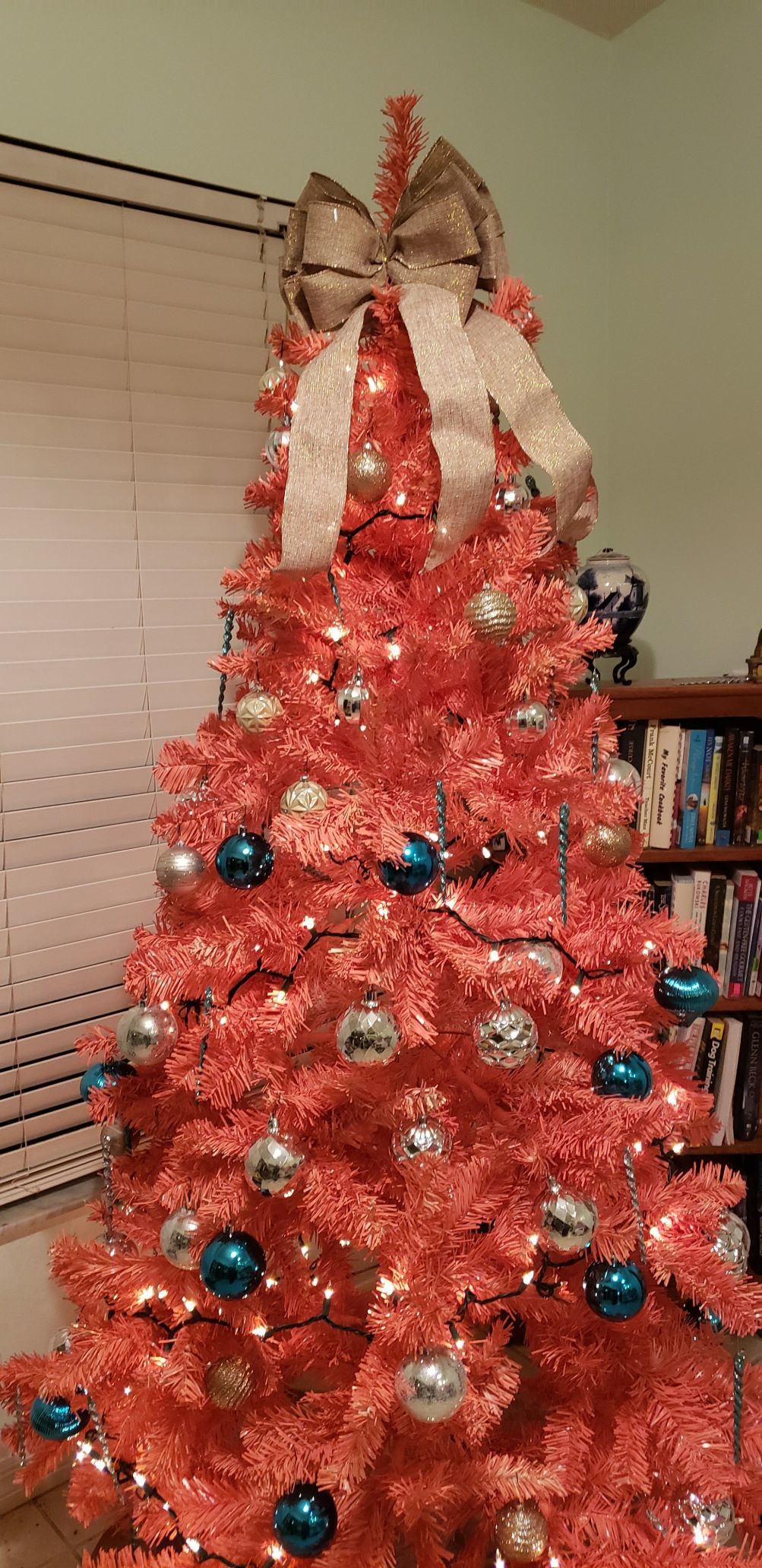 Recycling real and artificial Christmas trees Highlands NewsSun