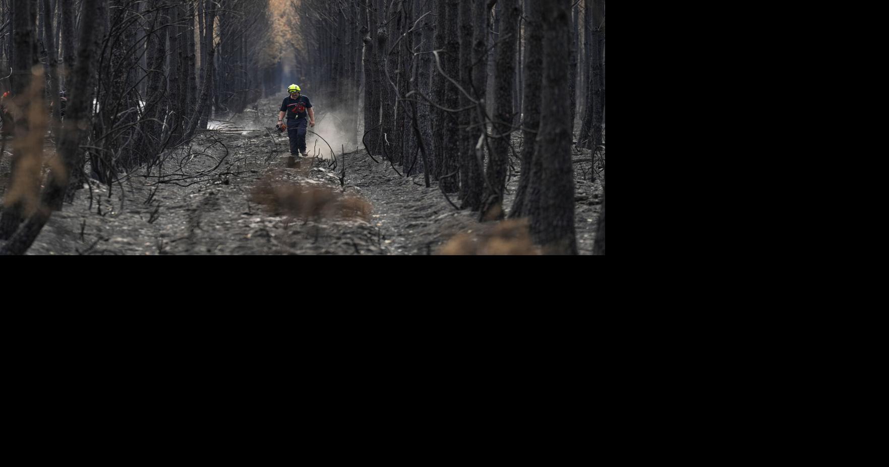 French wildfire near Bordeaux contained as 1,500 firefighters battle separate blaze in Provence
