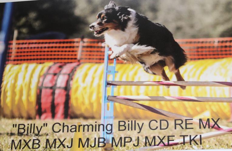 Heartland Dog Club digs its paws into new home Highlands Sun