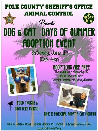 Free dog & cat adoptions at Animal Control on Saturday | Local |  