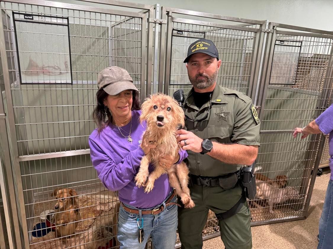 Dozens of animals rescued from horrific conditions ...