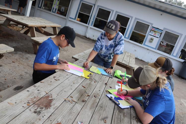 Polk County Youth Fair 2024 2 Photo Gallery
