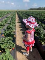 U-pick pleasure at Lake County’s Southern Hills Farms | Day Trip Adventures