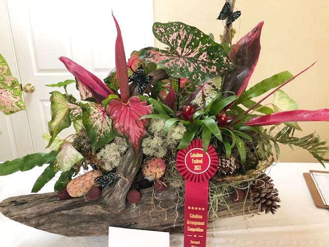 Lake Placid garden club winners listed | Highlands News-Sun