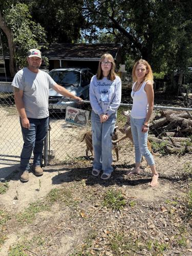 Family dog sentenced to death is given temporary reprieve | Clermont ...