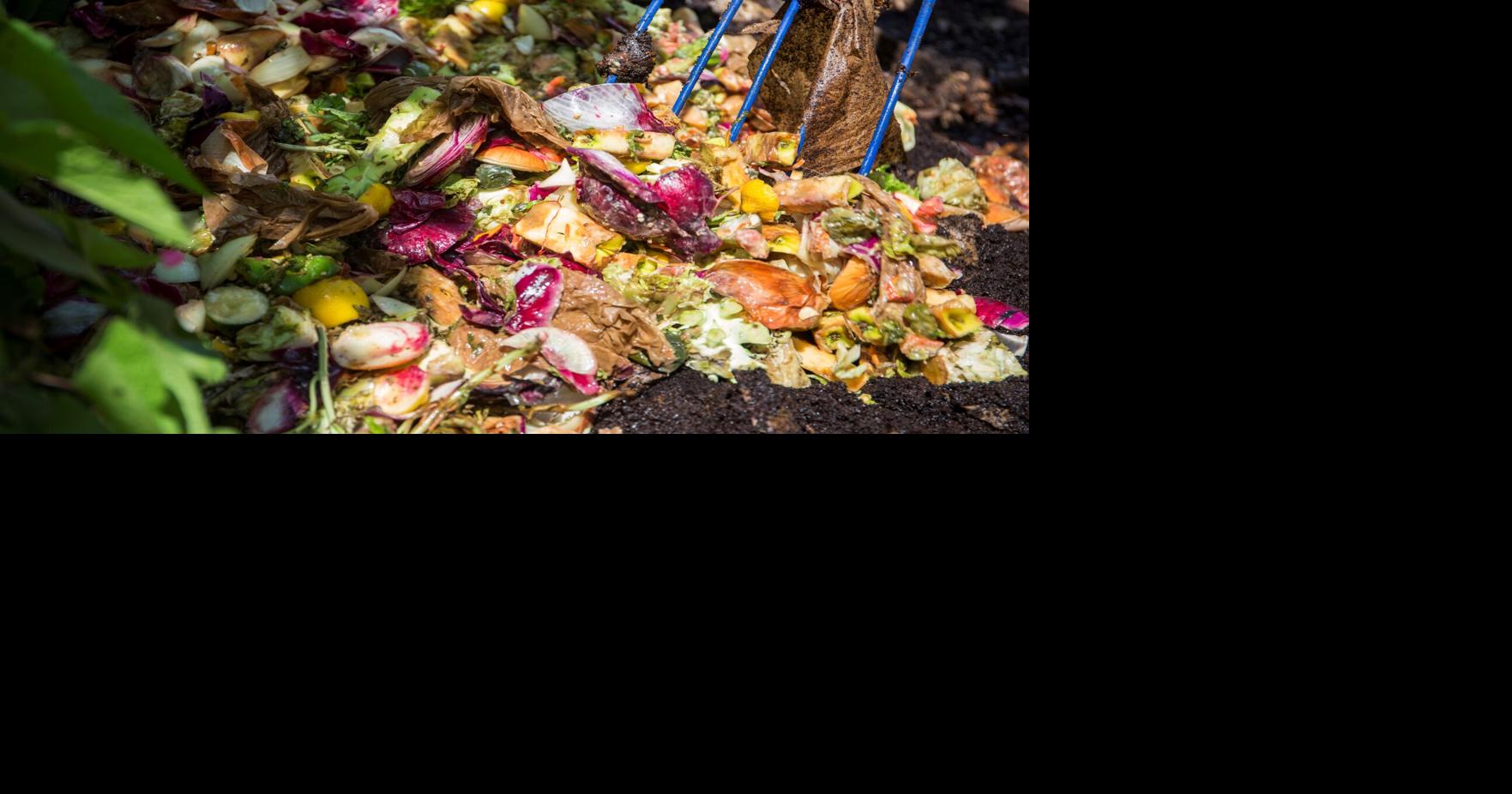 7 ways to reduce food waste - Mayo Clinic Health System