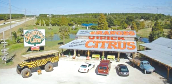 Monster Truck through the Orange Groves from Orlando 2024