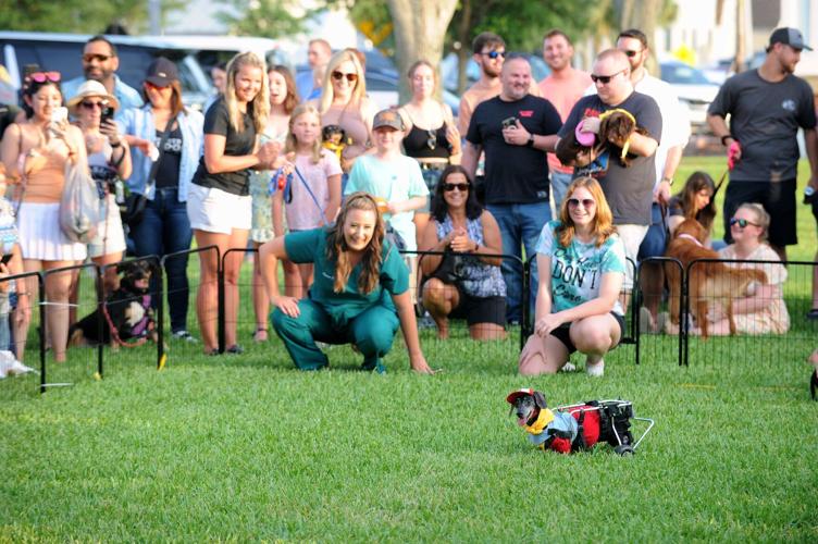 Tampa, FL Bark In The Park Events