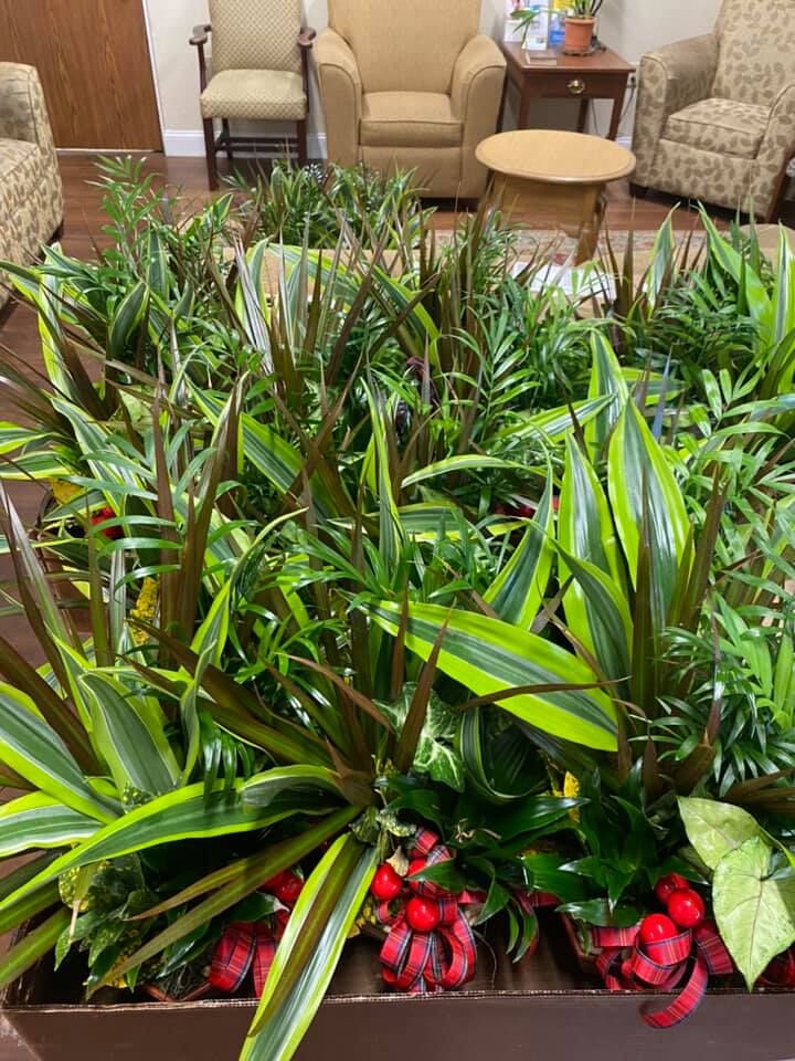 Chamber makes spirits bright in Lake Placid Corona Coverage