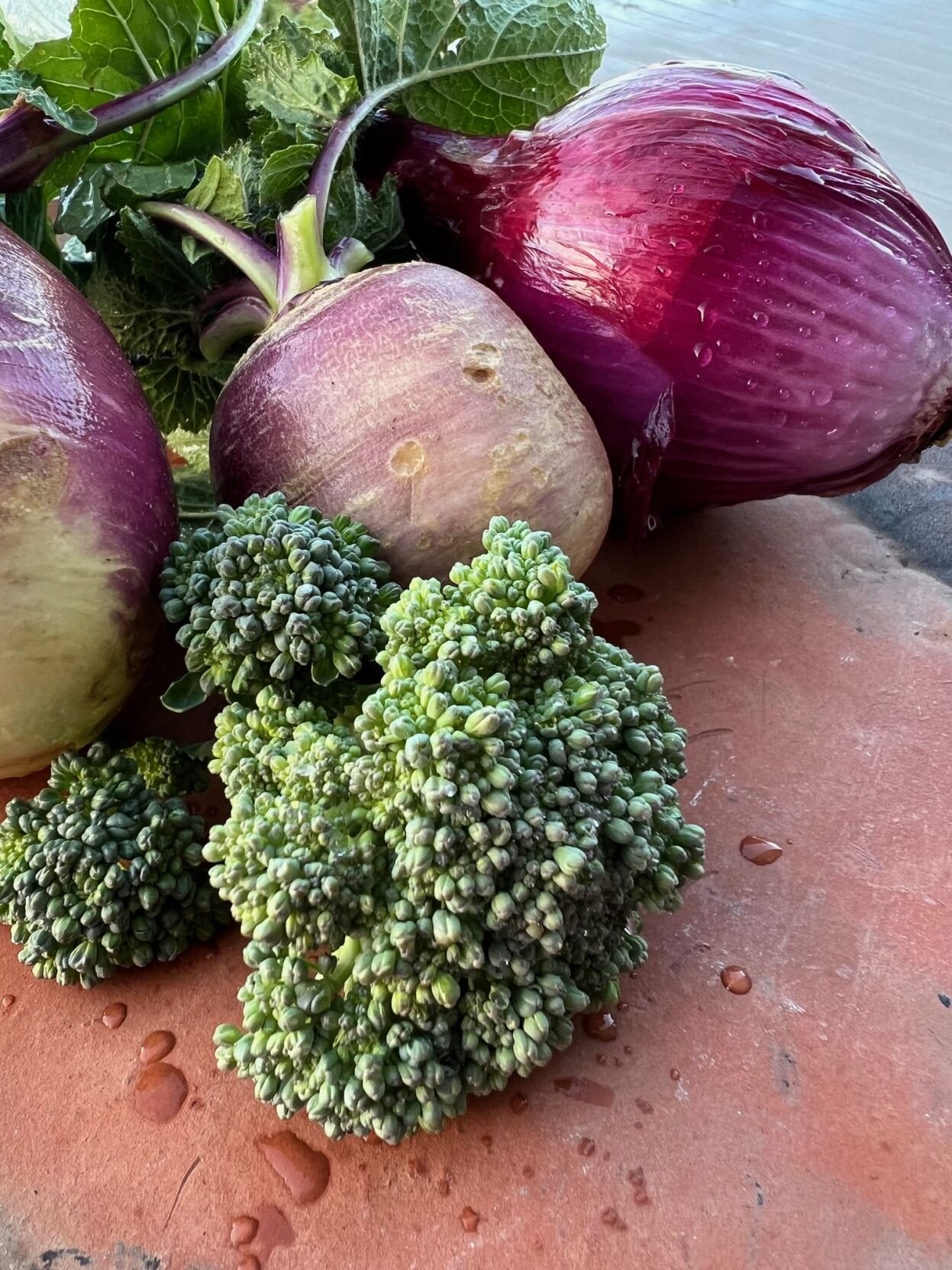 Best Food to Plant in October in Florida: Top Picks for a Bountiful Harvest