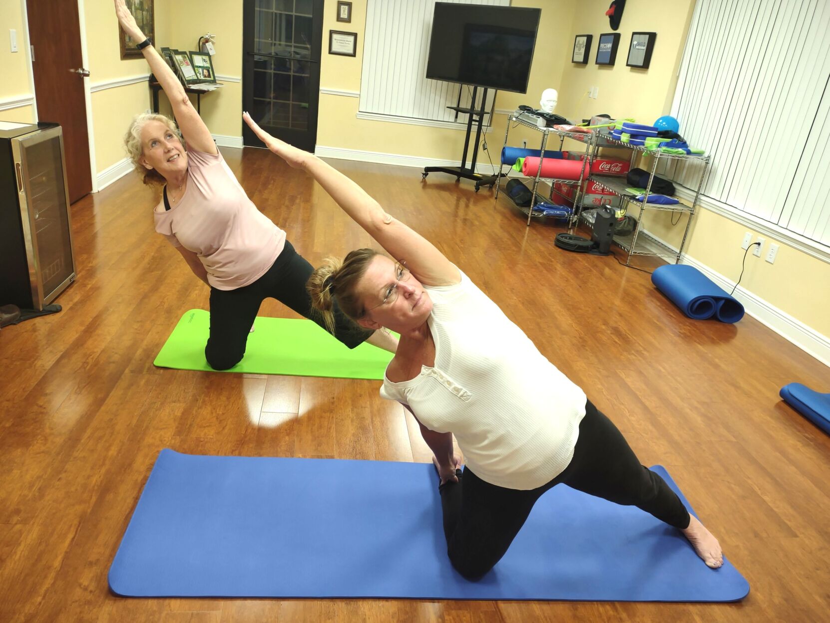 Union | Movement Mechanics: Knees Please (Flexion and Extension) at Kula  Yoga Project