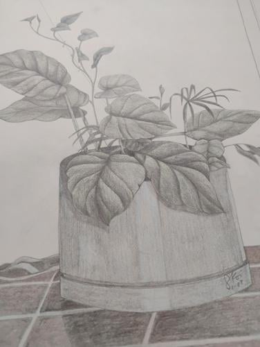 Sebring Art Center offers new Life Drawing Class | Around Town ...