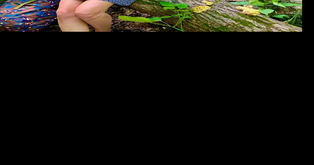 Golden oyster mushrooms cultivated, sold in Florida
