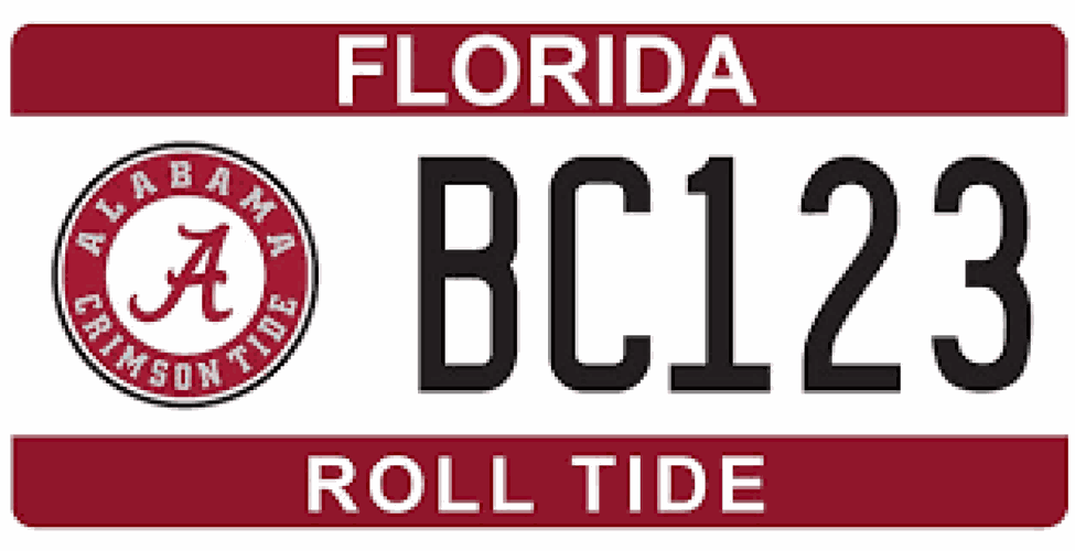 Dawgs Getting a Florida License Plate Local