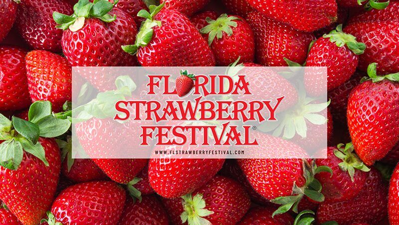 Local Artisans and Vendors showcasing their crafts at Johns Pass Seafood Festival 2026