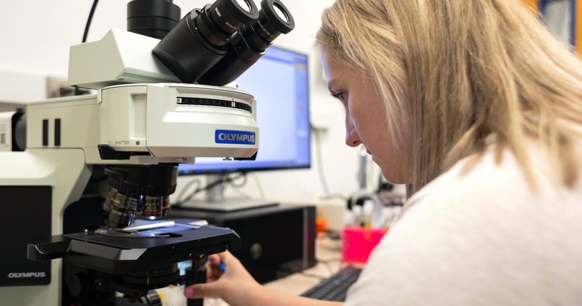 Labratory Lessons Laboratory Lesson - APH Ag teacher studies plant diseases at University ...
