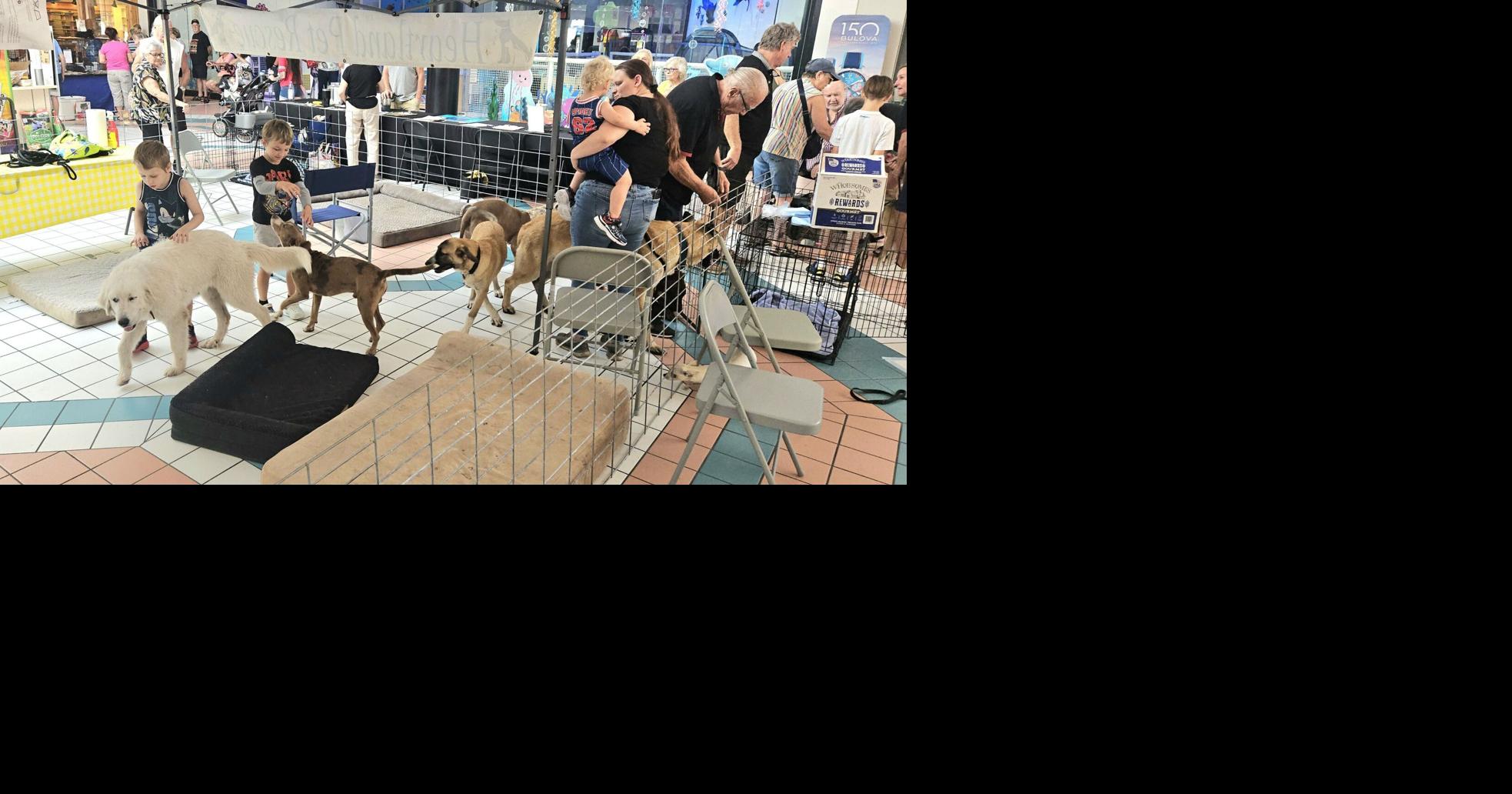 Fur Fest - A doggone fun pet expo