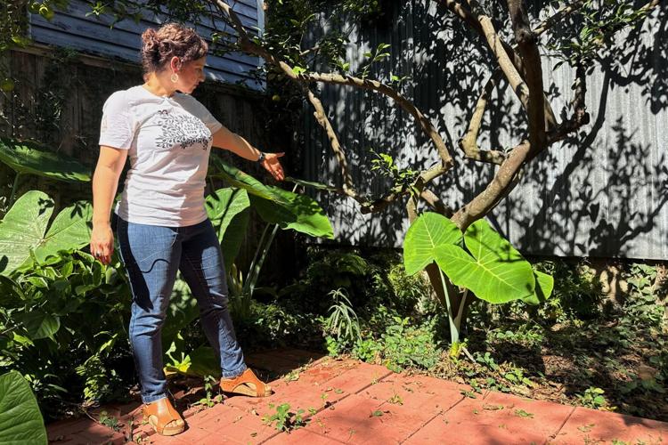 A long-lost ancient Roman artifact reappears in a New Orleans backyard ...