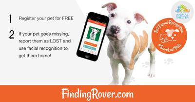 Lake County Animal Shelter to Use Facial Recognition Technology to Find  Lost Pets | Triangle News Leader 