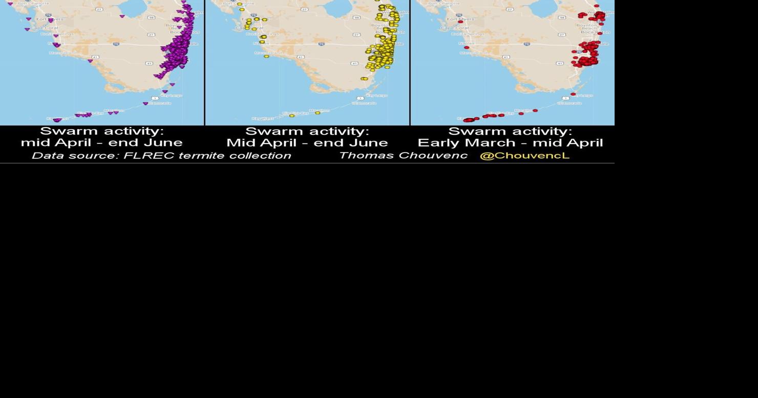 As Florida enters termite swarm season, UF/IFAS scientists tell ...