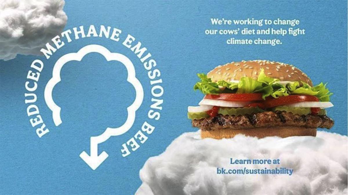 Burger King Addresses Climate Change By Changing Cows Diets