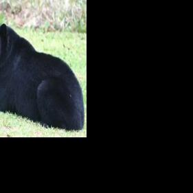 Environment has changed