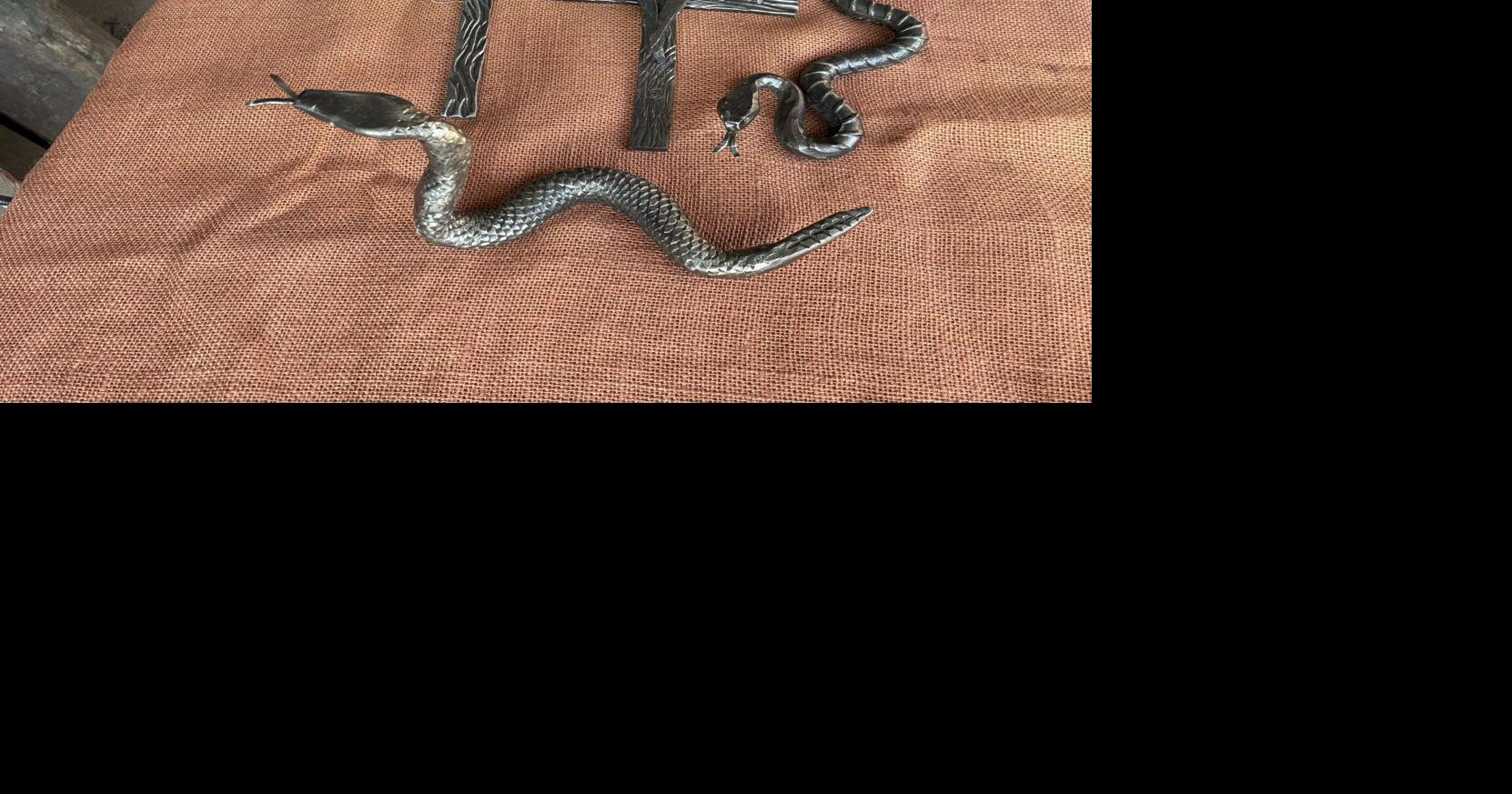 Highlands Hammock announces free Florida State Park entry days