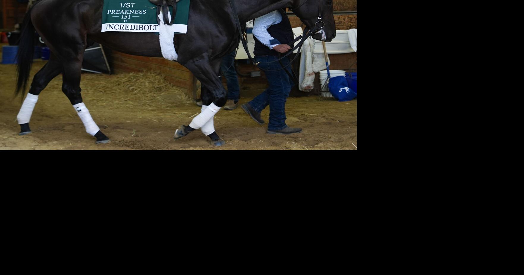 Preakness has a bit of everything, except Kentucky Derby winner