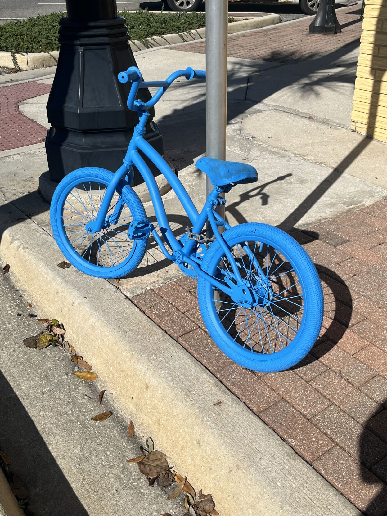 Blue bike online