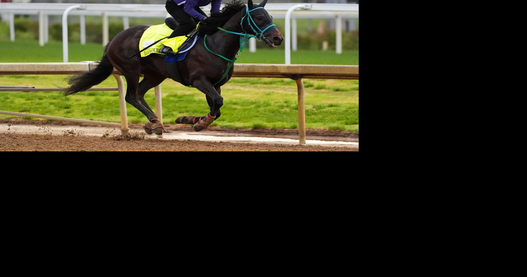 With horse racing on the rise, Japan hopes for Derby winner