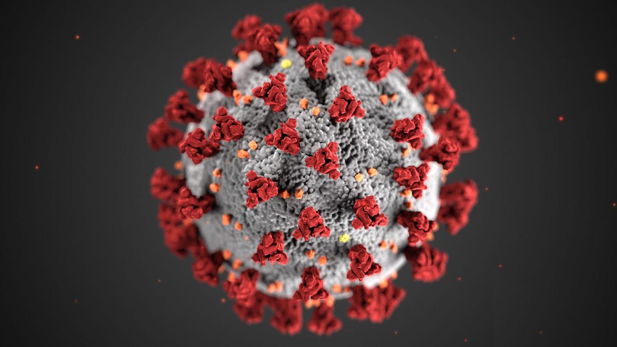 Updates Coronavirus Covid 19 Winter Haven Sun