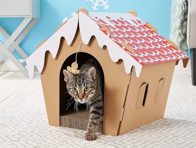 Picking The Perfect Gift For Your Pet News