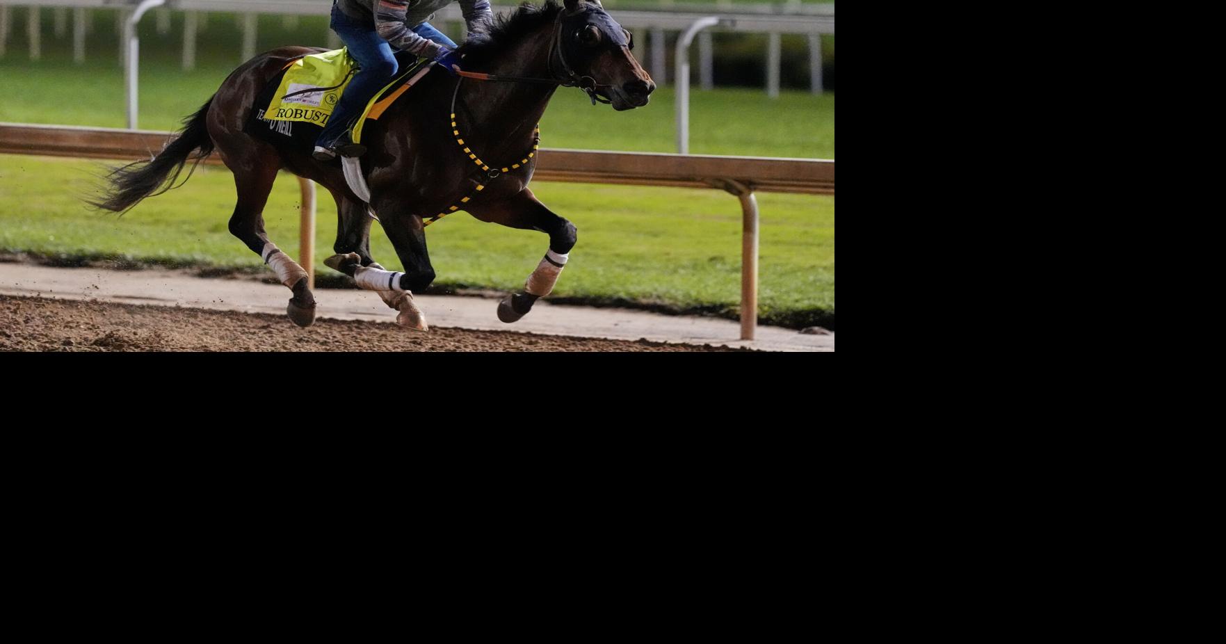 Robusta is in the Kentucky Derby field with Right to Party out
