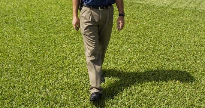 Robotic mowers can improve lawn health, reduce maintenance