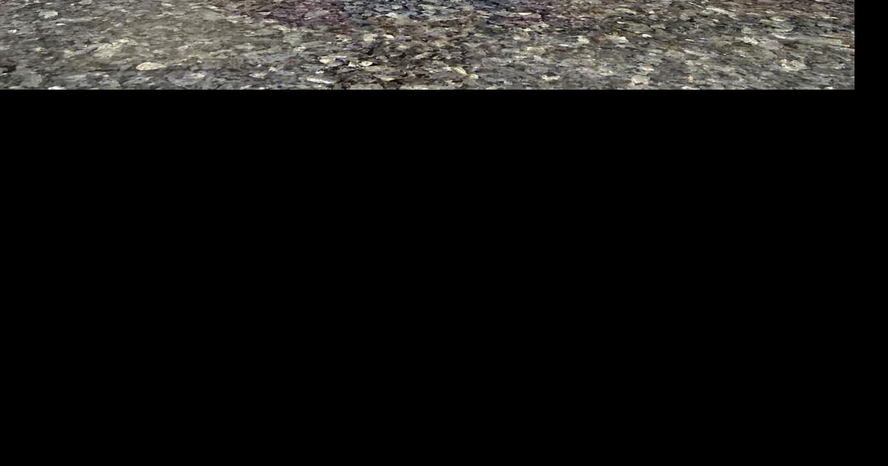 Sugar Blossoms experiences sweet success in downtown Sebring