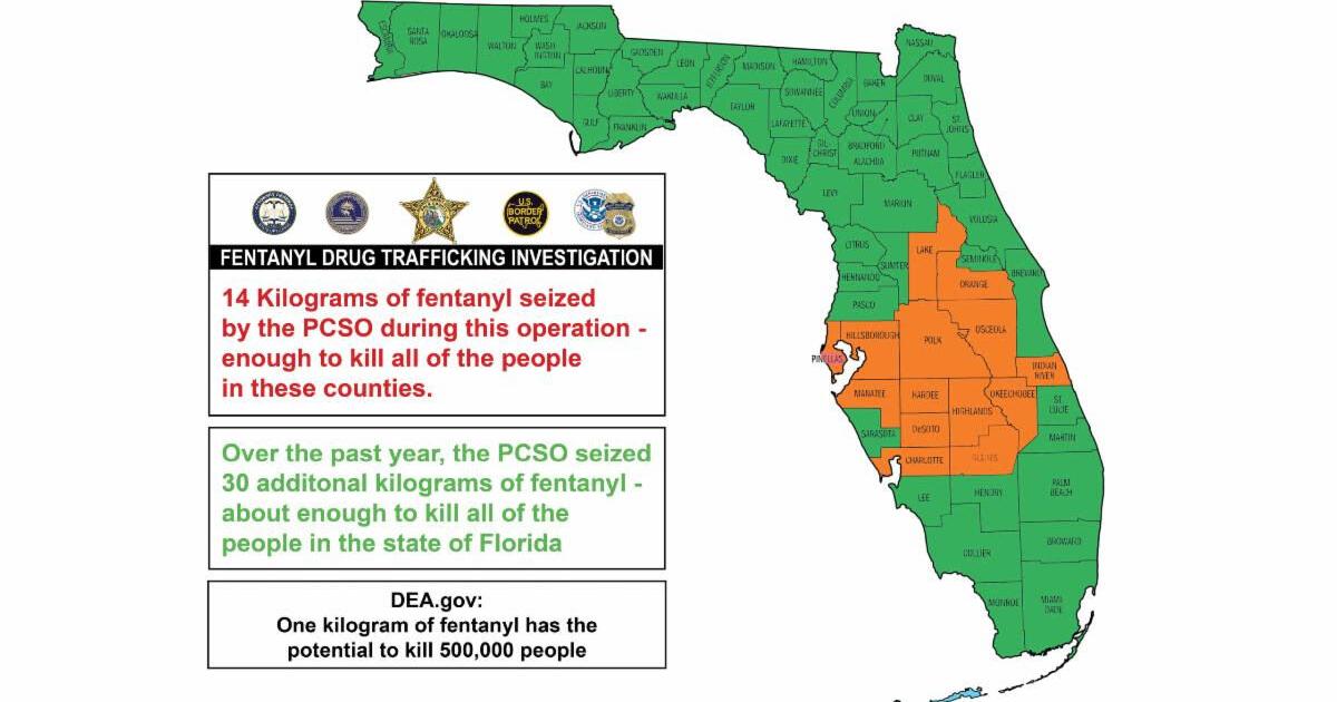 14 kilos of fentanyl seized in Polk County's biggest bust | Highlands ...