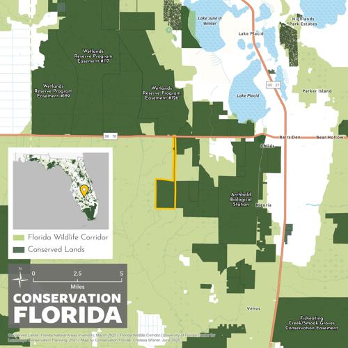 Conservation Florida protects Highlands County Florida panther habitat ...