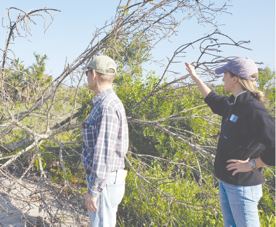 Archaeologists awarded NSF grant to survey cultural heritage sites