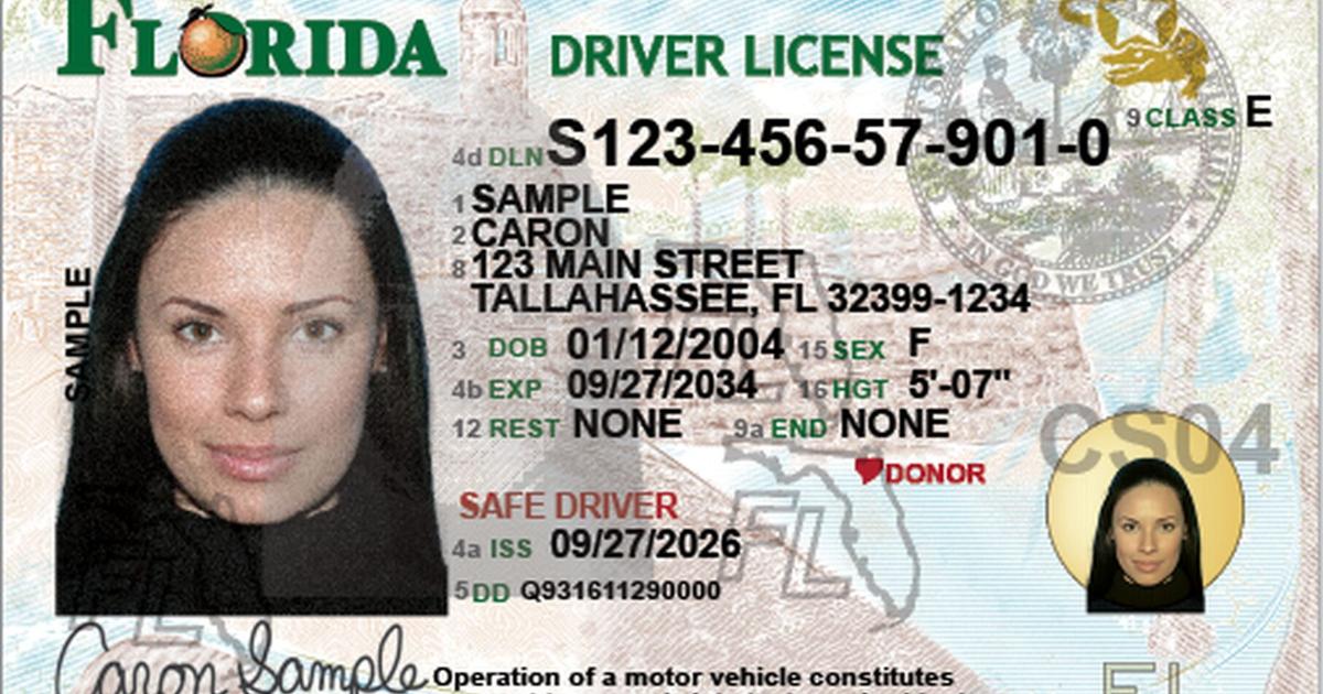 Read Stop Write Florida redesigns driver license, identification cards | News ...