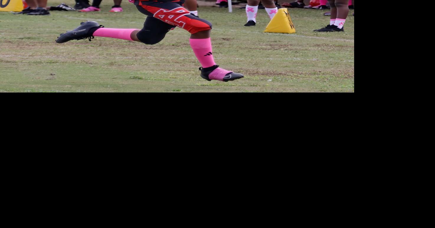 Avon Park youth football teams headed to playoffs | Highlands News-Sun ...