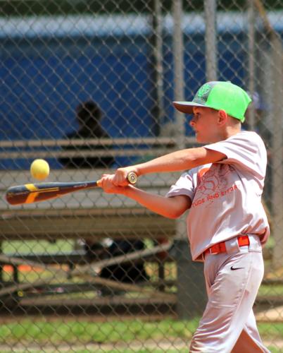 Shorebirds to Host Baseball Hitting Camp August 15 - 16