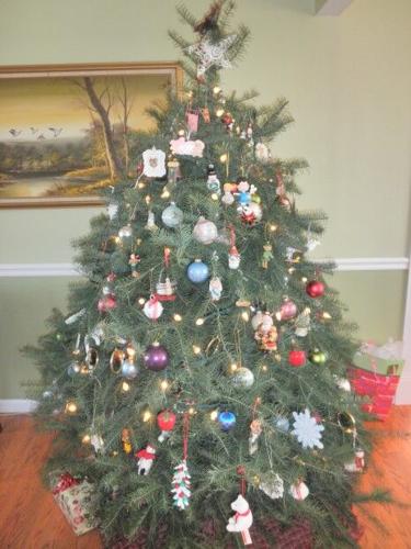 Recycle Christmas Lights 2022 O Fallon Mo St. Charles Announces Natural Christmas Tree Collection Sites |  Uncategorized | Midriversnewsmagazine.com