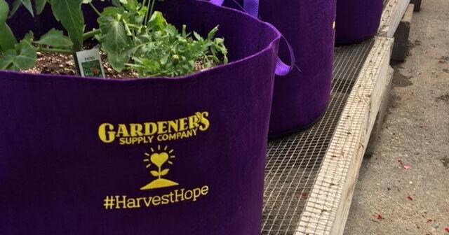 Gardener’s Supply Company to Donate Garden Supplies to Milton Family Community Center |  News