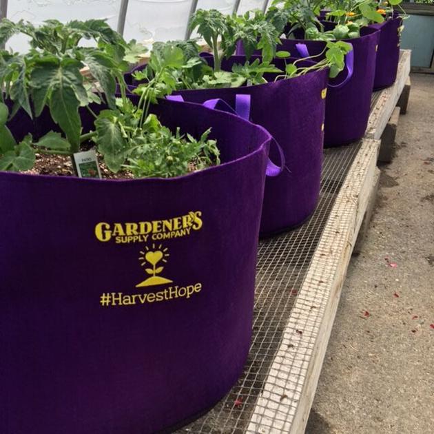 Gardener’s Supply Company to donate gardening supplies to Milton Family Community Center | News