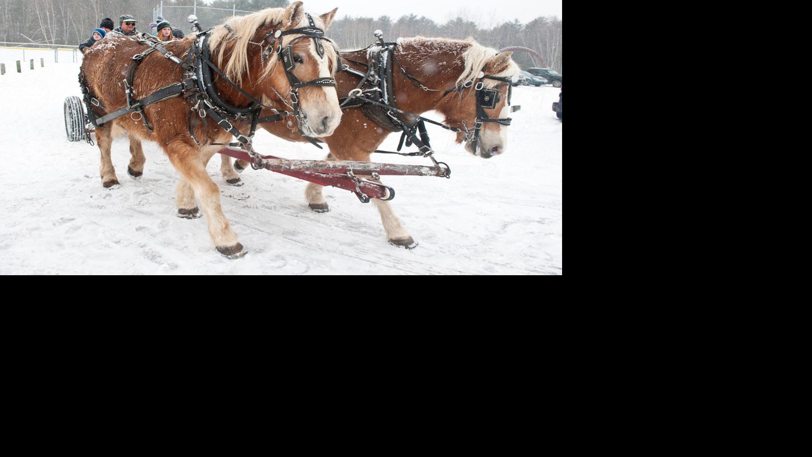 Annual Winter Festival Feb 7 9 News Miltonindependent Com
