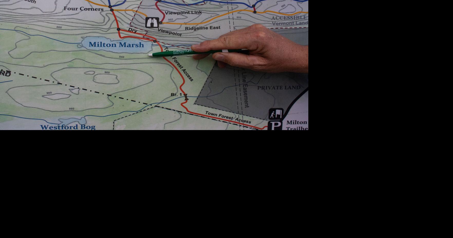 Milton Town Forest viewing platform project moves forward, on track for 2025 completion